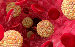 Биохимия крови – липиды: виды, диагностика и расшифровка липидограммы