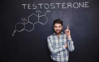 Свободный тестостерон у мужчин: норма по возрасту