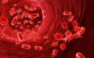 Эритроциты в крови повышены: причины, последствия и профилактика