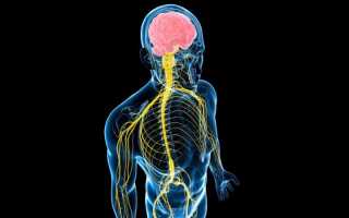 Как лечить эпендимому спинного мозга