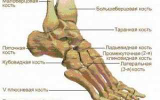 Что делать, если хрустит голеностопный сустав