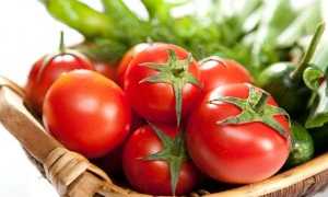 Разрешены ли помидоры при панкреатите