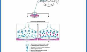 Какие миорелаксанты применяются при остеохондрозе