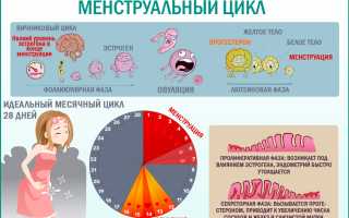 Причины частых выделений мочи перед месячными