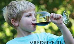 Детский алкоголизм – проблема и пути решения