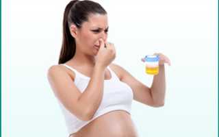 Причины изменения запаха урины у беременных женщин