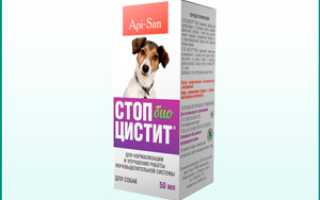 «Стоп-цистит» как эффективное средство для лечения животных