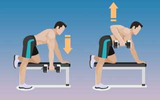 Как накачать широчайшие мышцы спины: лучшие упражнения и вариации