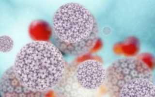 Анализ на вирус папилломы человека (ВПЧ-тест): как составляющая скрининга рака шейки матки, рекомендации по вакцинации и другая полезная информация