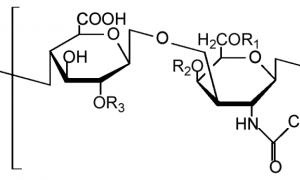Как применять Глюкозамин-Хондроитиновый комплекс