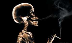 Влияние никотина на организм человека