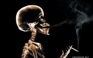 Влияние никотина на организм человека