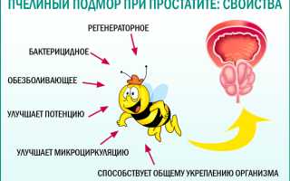 Как используют пчелиный подмор в борьбе с простатитом