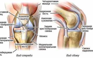 Строение надколенника и как лечить разрыв его связки