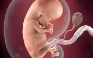 Анализы на ХГЧ при беременности: виды и их расшифровка
