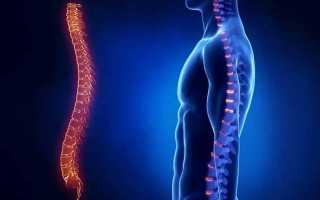ЛФК для укрепления мышц спины и позвоночника