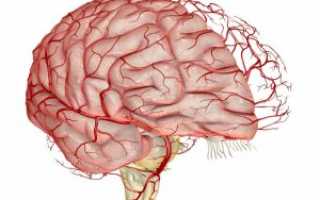Исследование сосудов головного мозга: обзор лучших методов